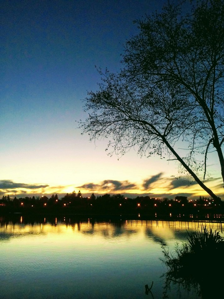 Serenity