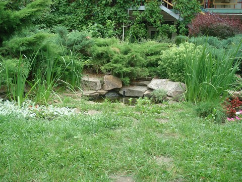 backyard, yard háttérképek