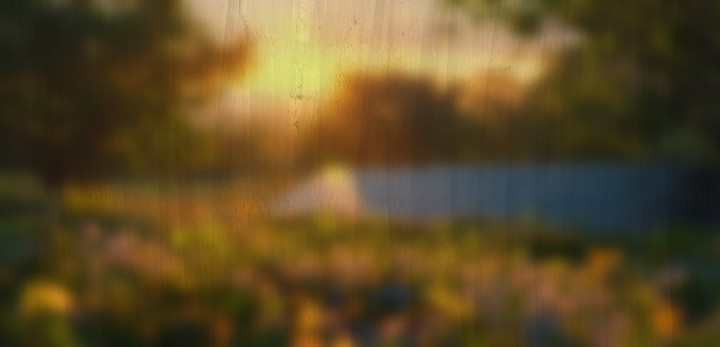 Blurred golden sunset background with warm light over park flowers and wood texture