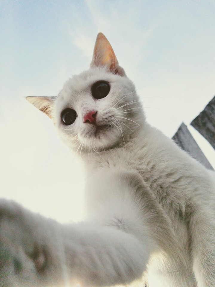 selfie of the Year 