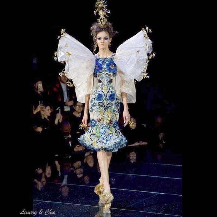 fashion shows elegance style art art