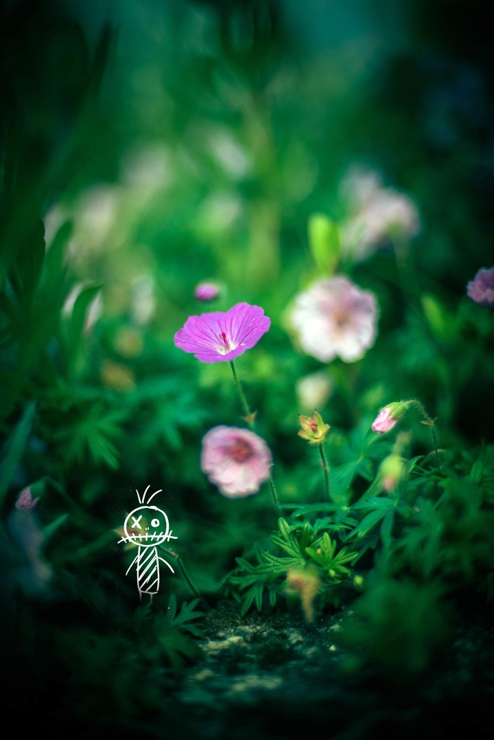 Lost in a big green world