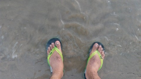 Sea Shore