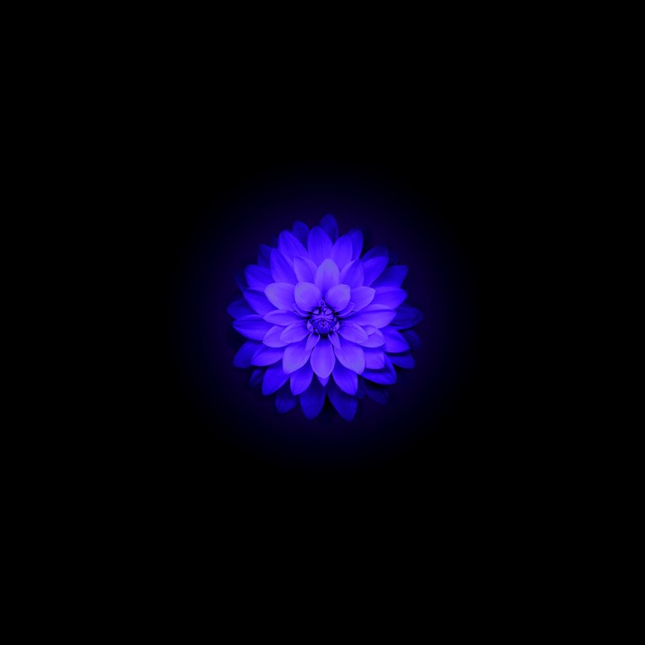 HD wallpapers