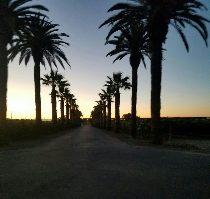 california ...