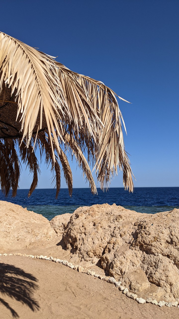 Red sea