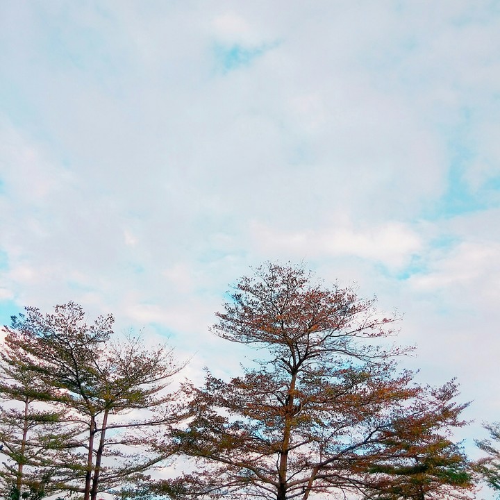 天空