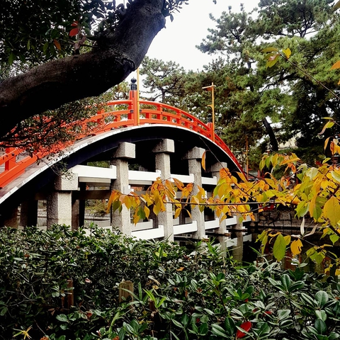bridge