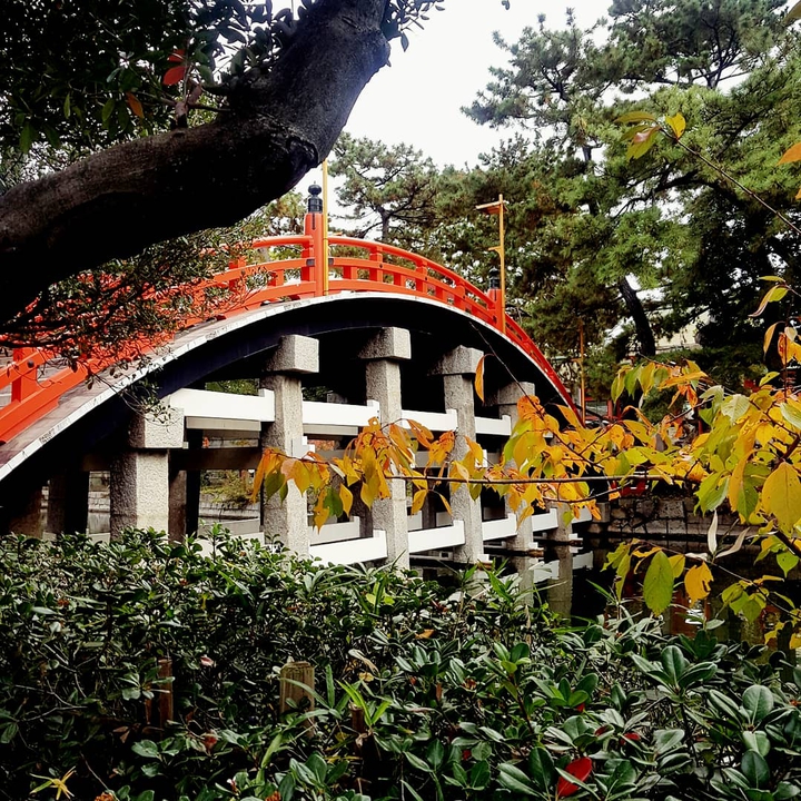 bridge