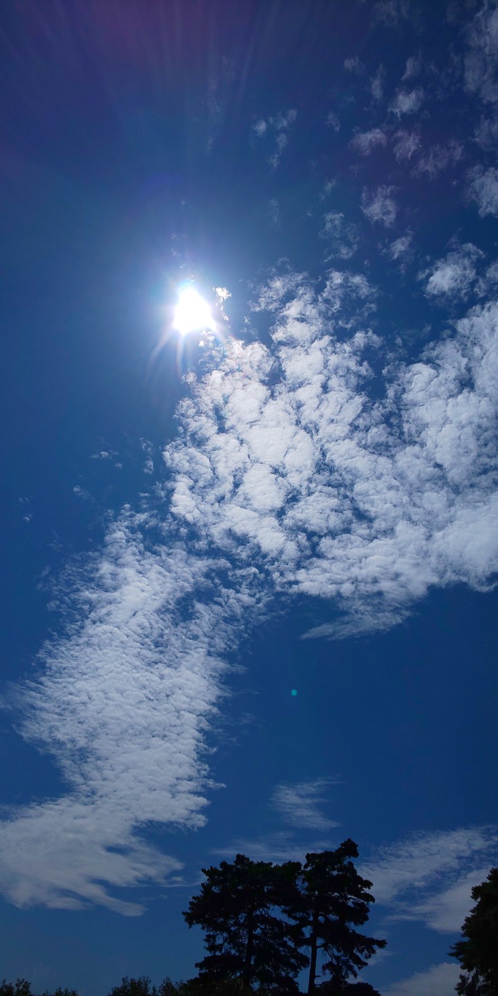 Sky