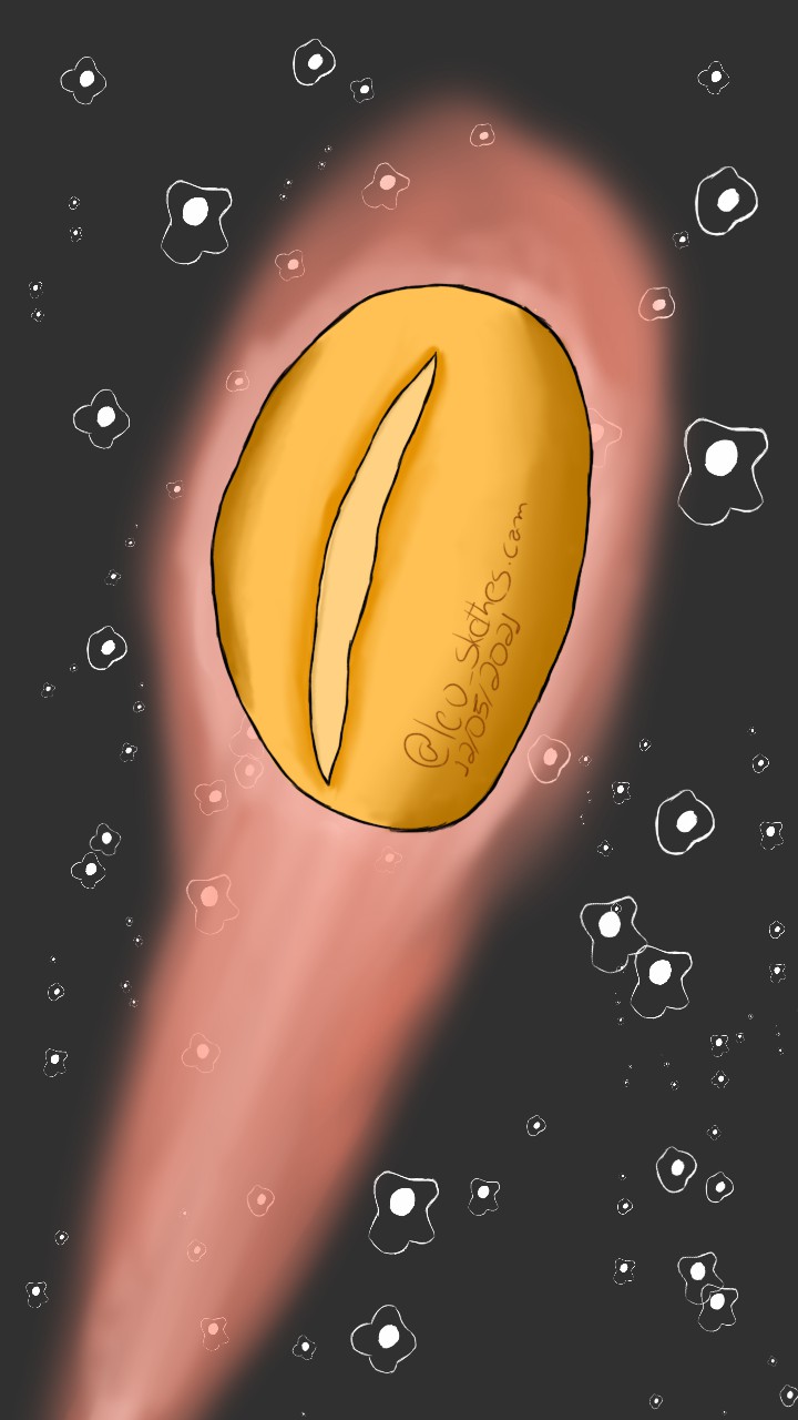 Space Breakfast