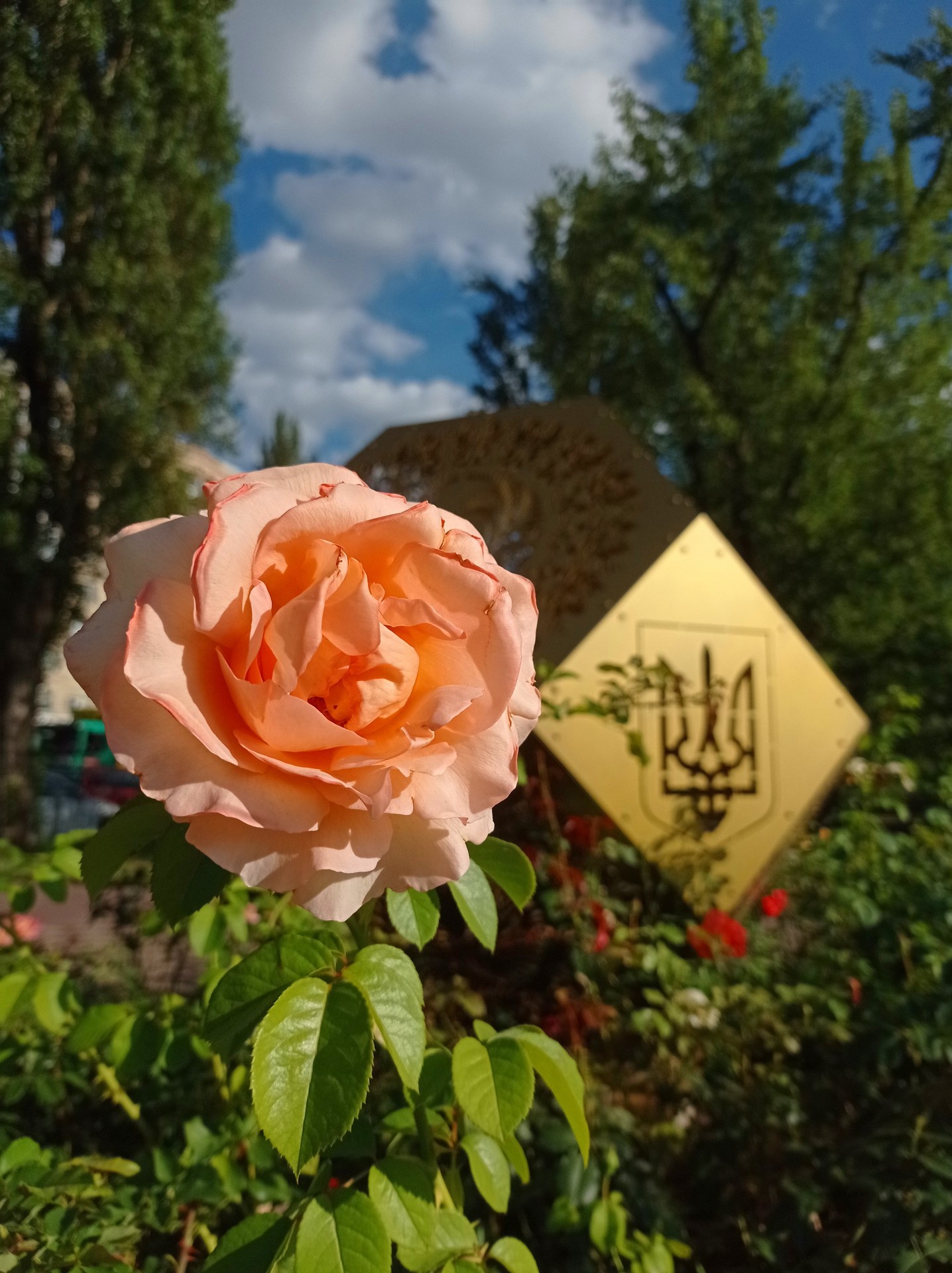 ταπετσαρίες park, floribunda