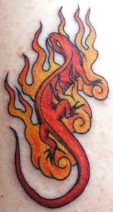 Fire salamander