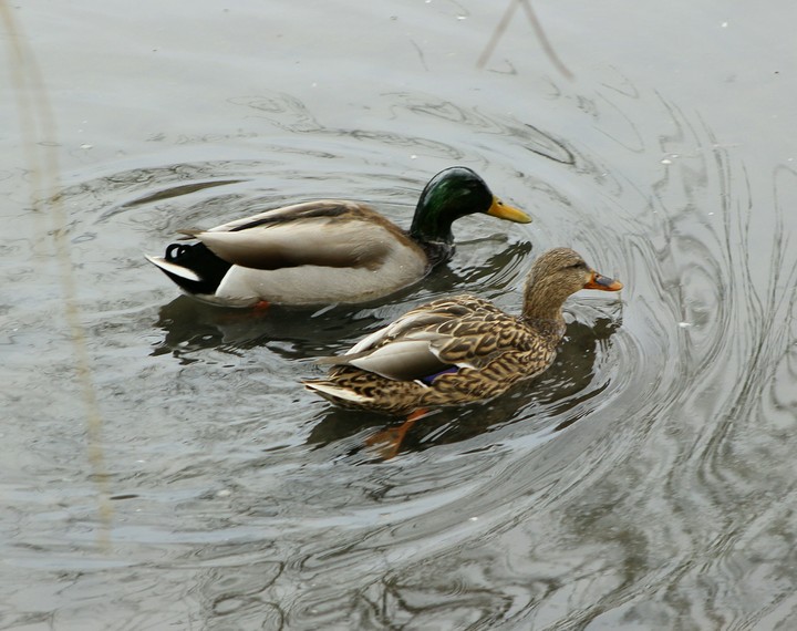cute couple
