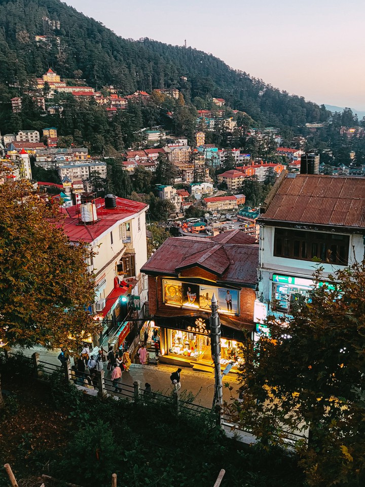 Shimla