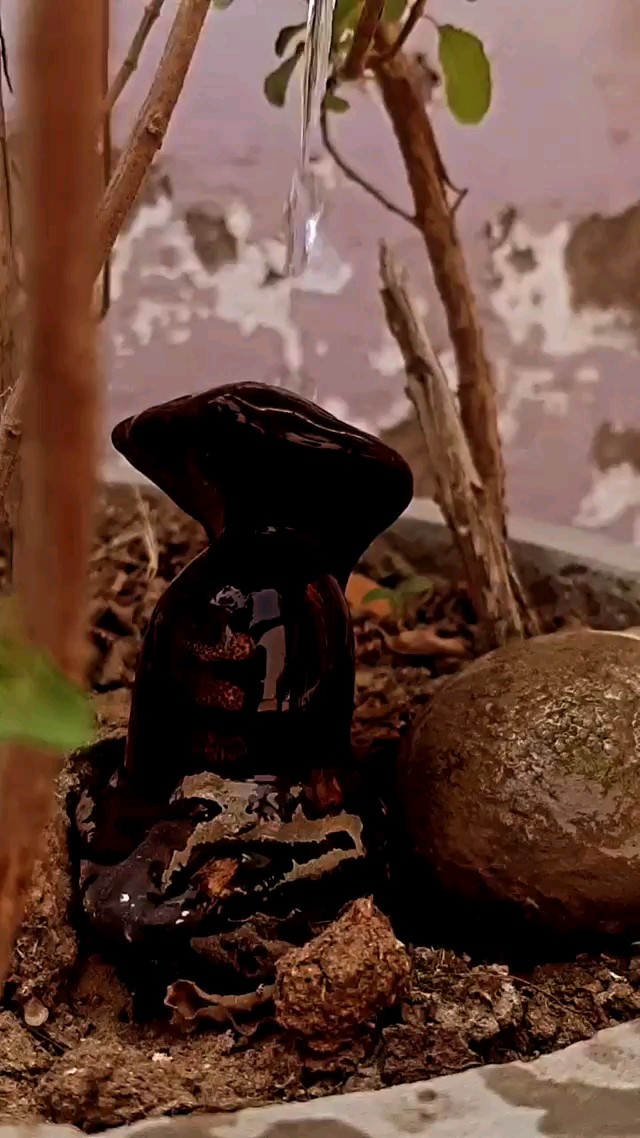 shivling