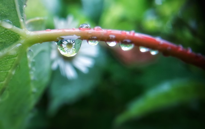 Nature