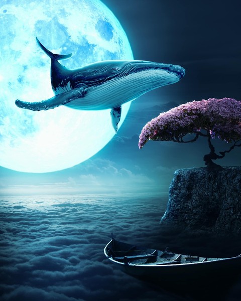 sfondi organism, whale