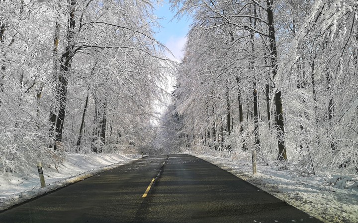 Road in Winter
