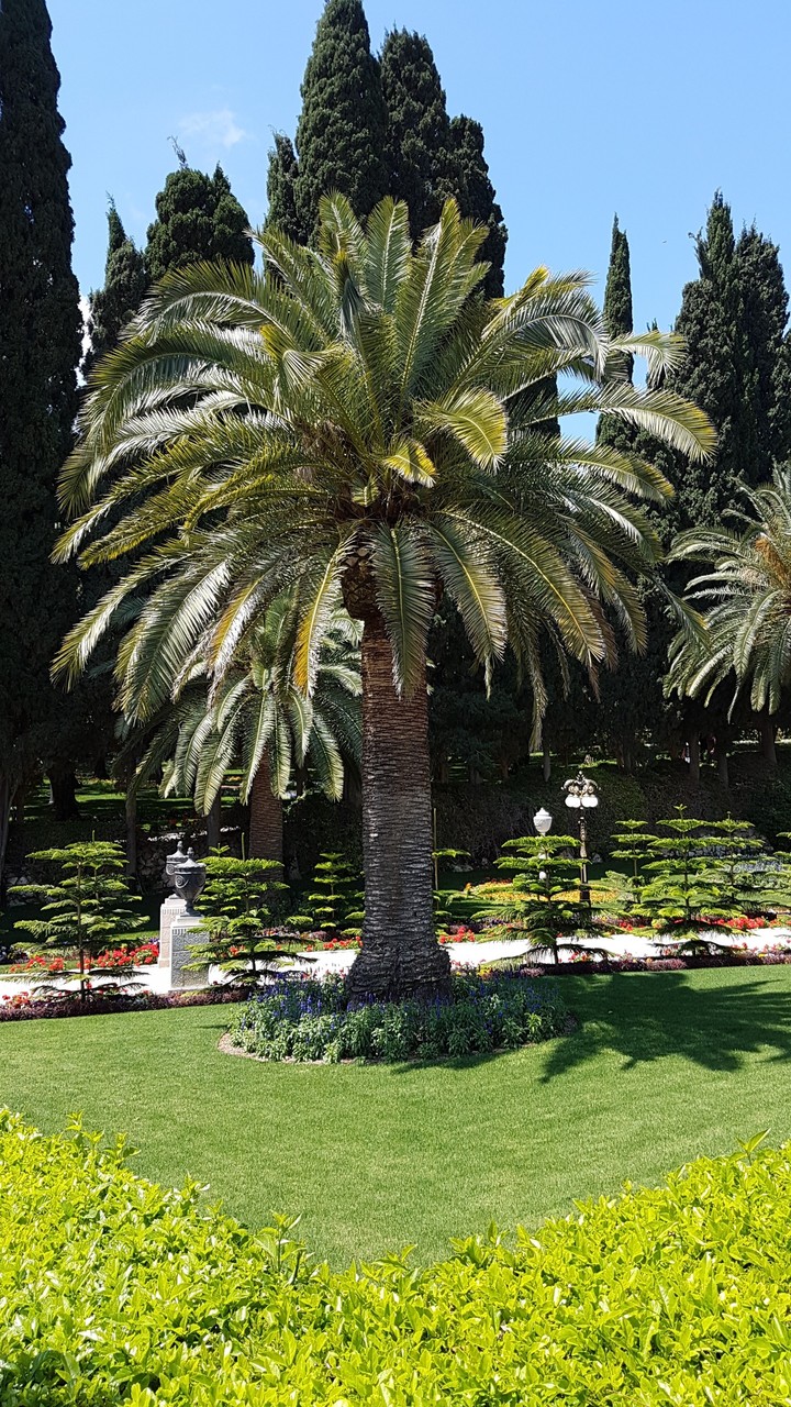 Bahai gardens