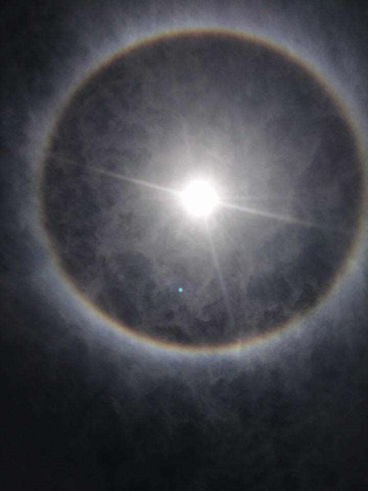 halo