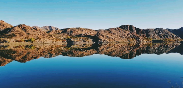 Mendoza hermosa