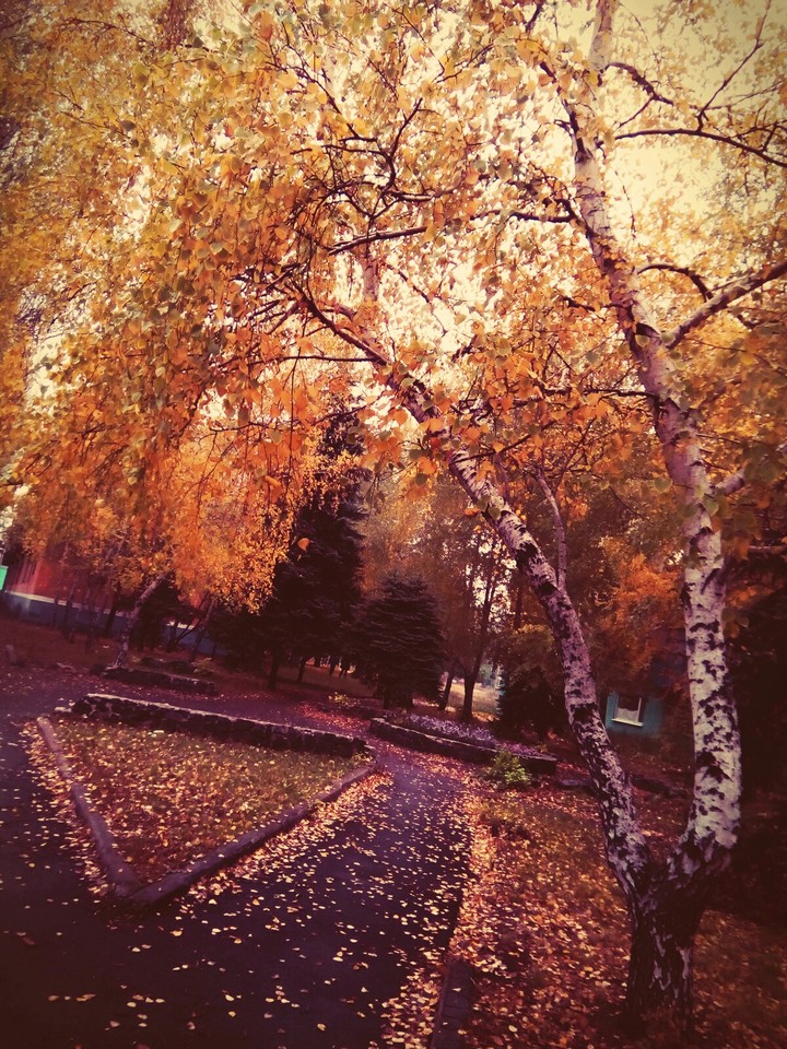 Осень