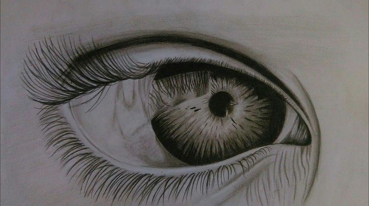Eye