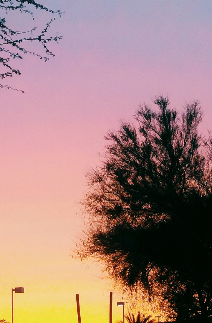 desert sunset
