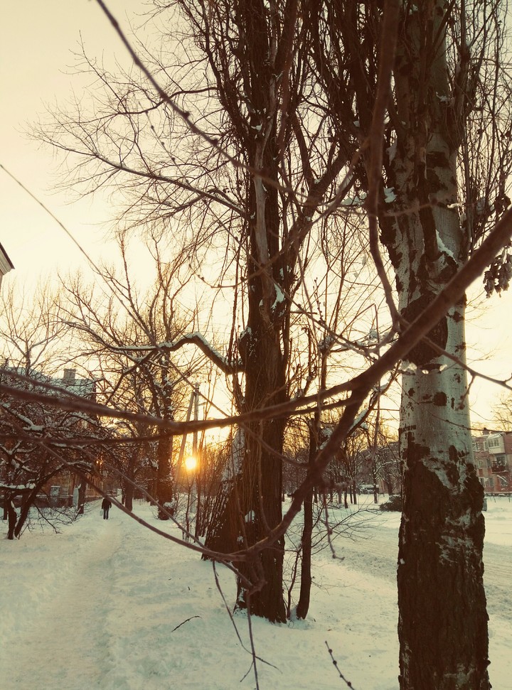 зима  весна