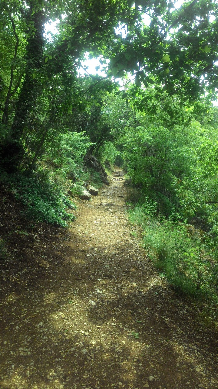 king's way