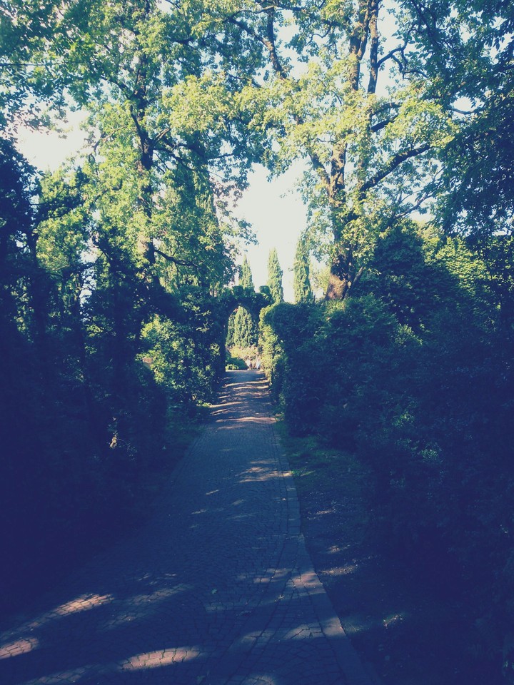 Path in Sigurtà