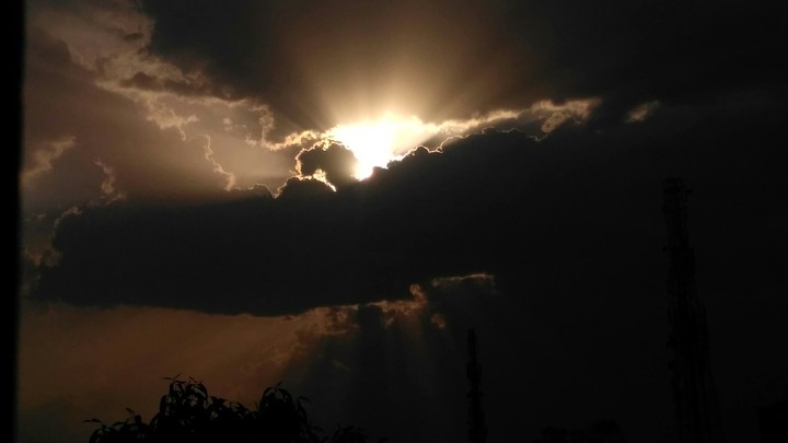 sunlight
