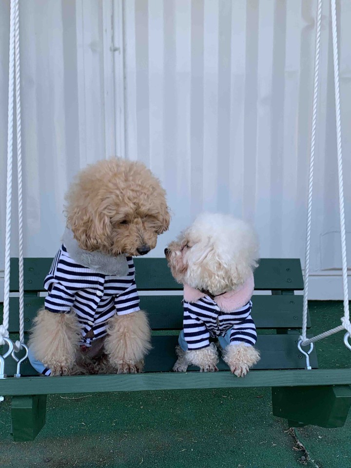Lucky& Money
