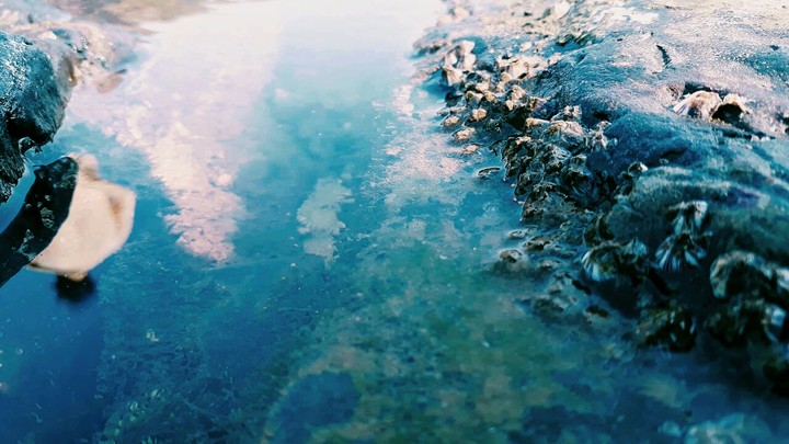 Beach rock
