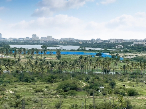 Lake view