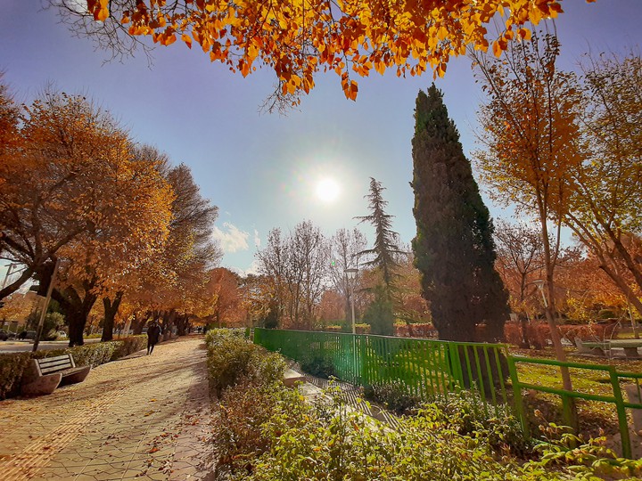 autumn park