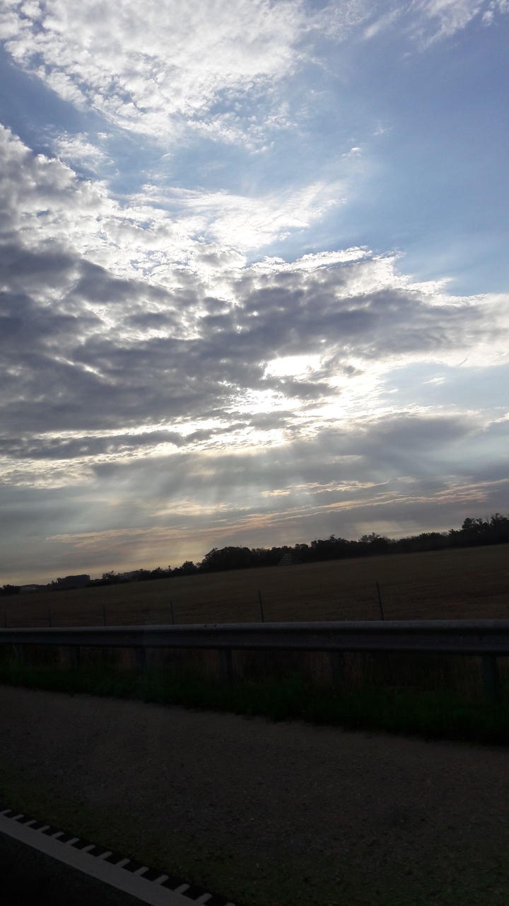 sunbeam