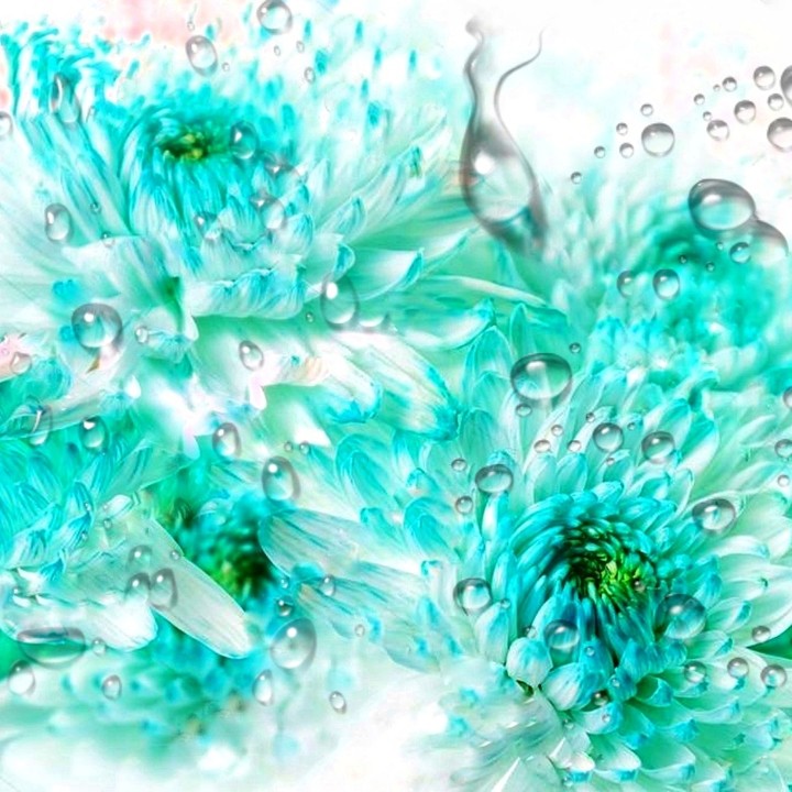 drop