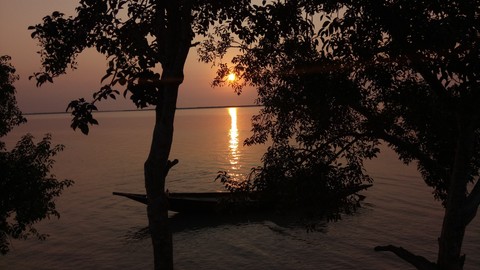 nature's beauty