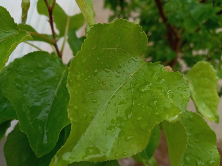 it's in running