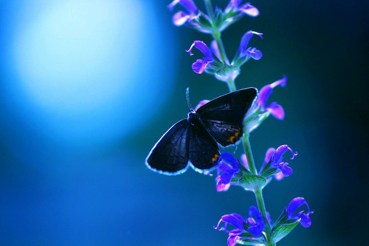 beautifully