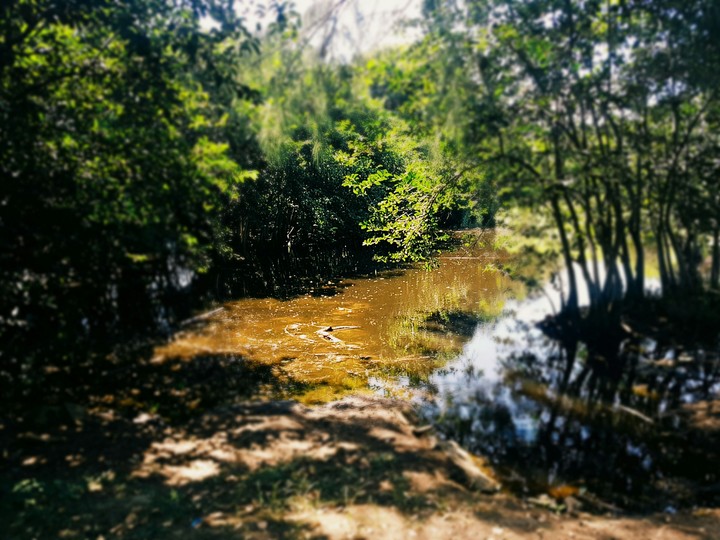 nature
