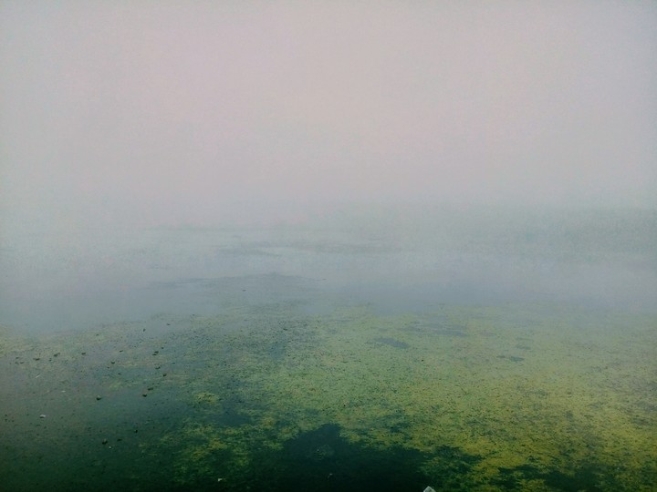 pond