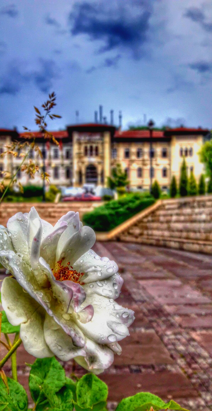 KASTAMONU  CUMHURİYET MEYDANI