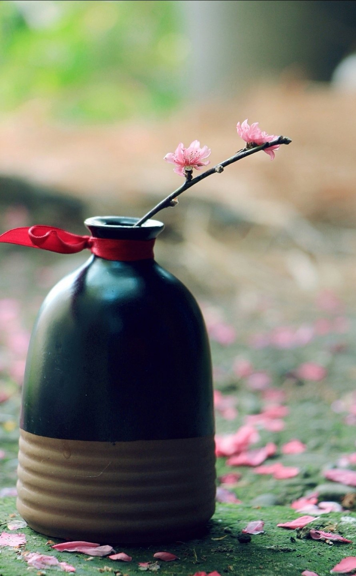 Peach blossom