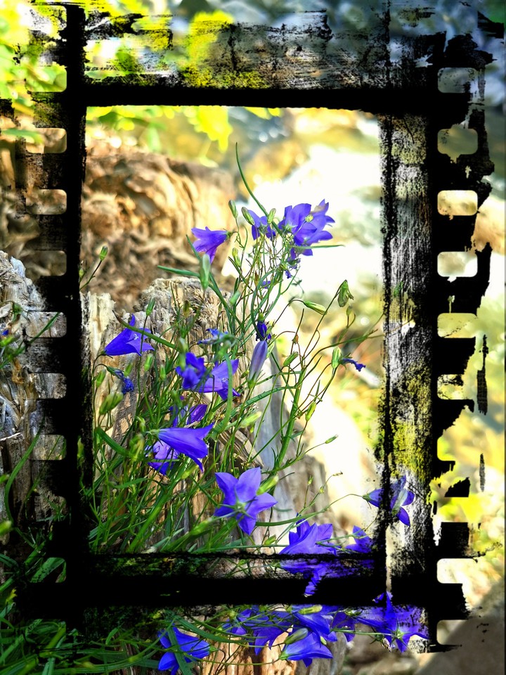 version cinéma