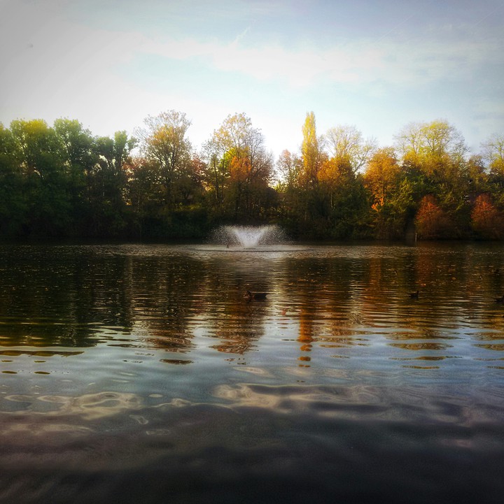 Ententeich ohne Enten