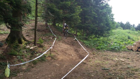 Downhill Best of The Best
