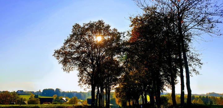 Wundervoll